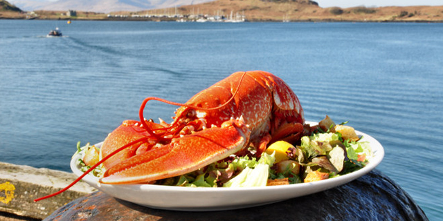 Lobster in Oban